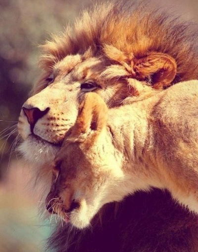 Хачик Унанян