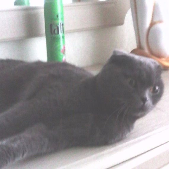 Валентина Белова