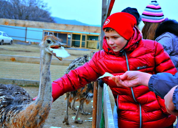 Артём Севостьянов...
