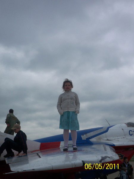 *******лисёнок *******