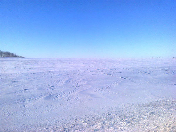 Ольга Саранск