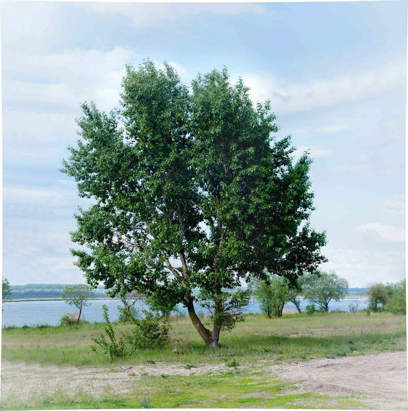 Алекс Алекс