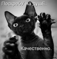 Алексей Лосинов