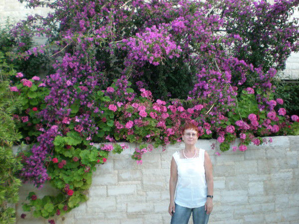 Ариадна Кучевская