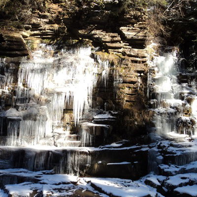 Кирилл Кальченко