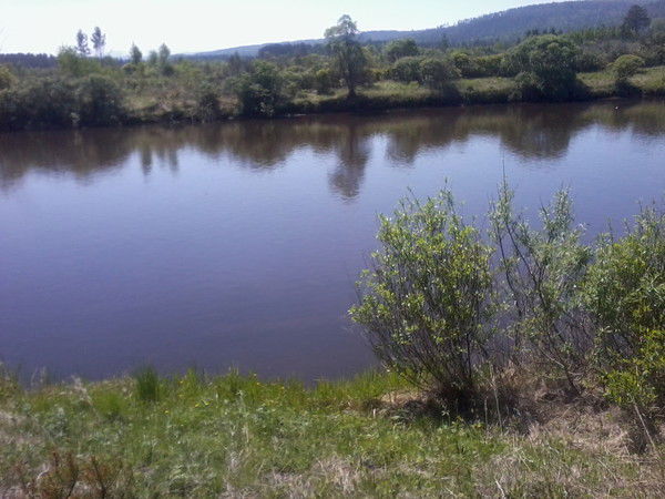 Сергей Мурашев