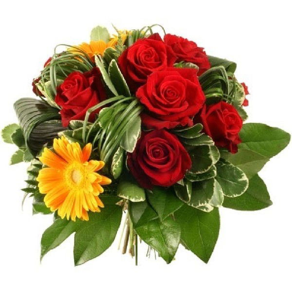 Анара Кыргызбаева