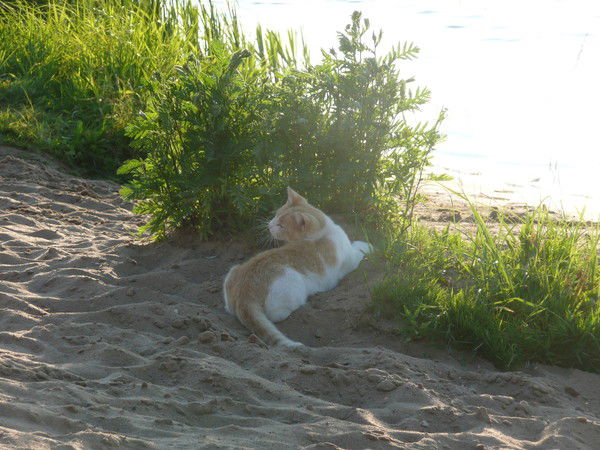 Кабакова Юлия