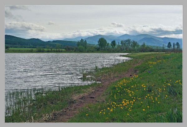 Магомед Дибиров