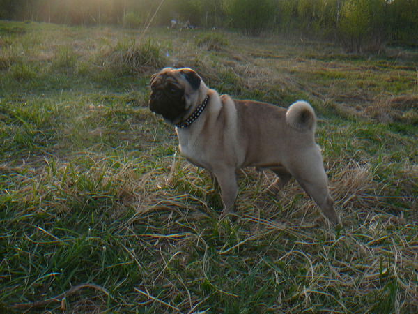 Инна Лавринович