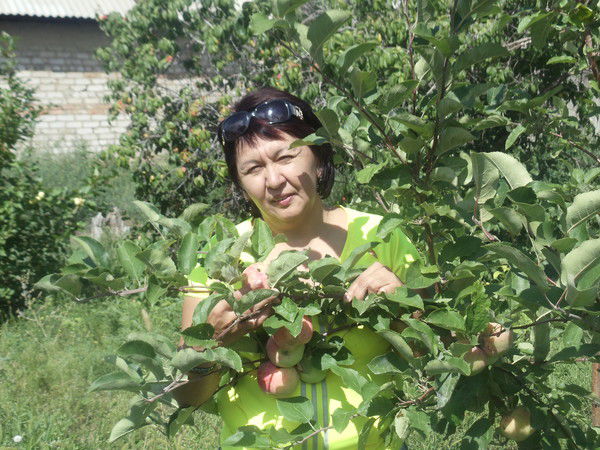 Айгуль Мырсеитова