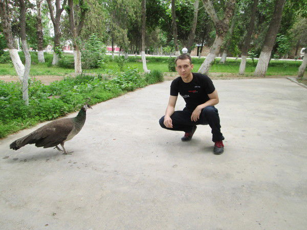 Илья Колчин