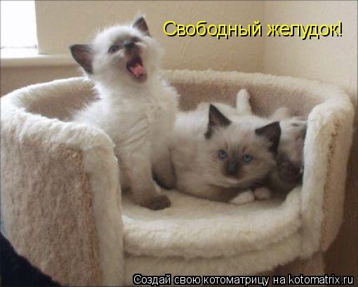 Оксана Хисметова