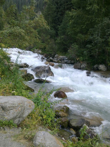 Бота Ашимова