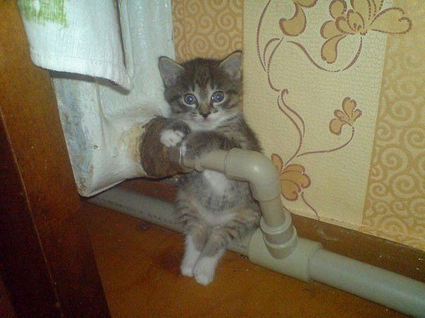 Айгуль *************