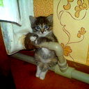 Айгуль *************