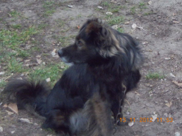 Екатерина Самодинова