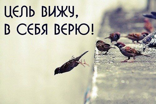 Даринка Даринка