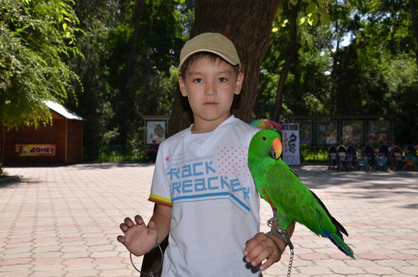 Алимжан Нурмуханбет