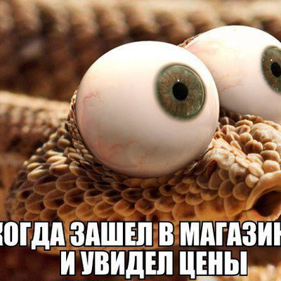 Олеся Грибова