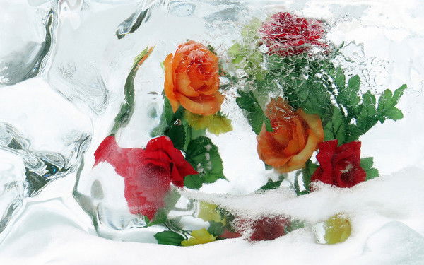 Виктория Шнурникова