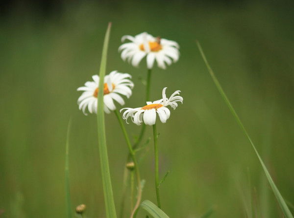Бахытжан Адилбеков