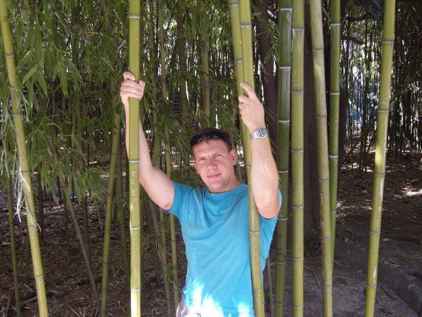 Алексей Гуськов