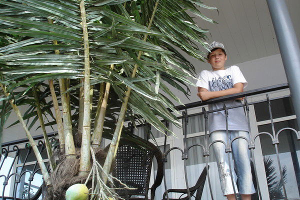 Вячеслав Демидов