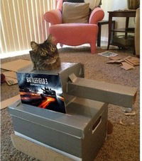 Данила Черемисин