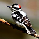 Салон-Магазин Дивар