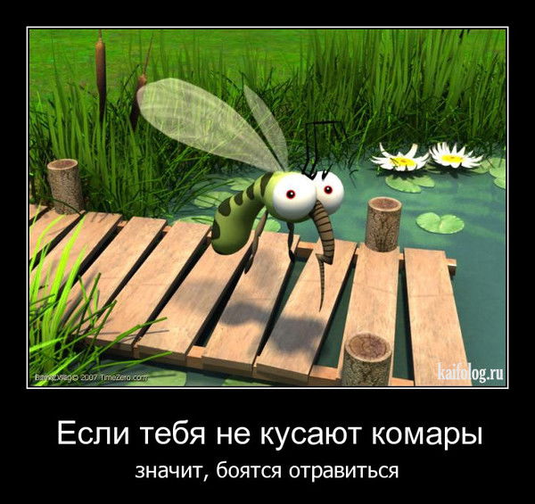 Евгений Комаров