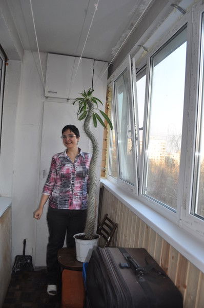 Татьяна Киселева