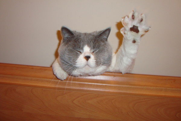 Илюха Юрьев