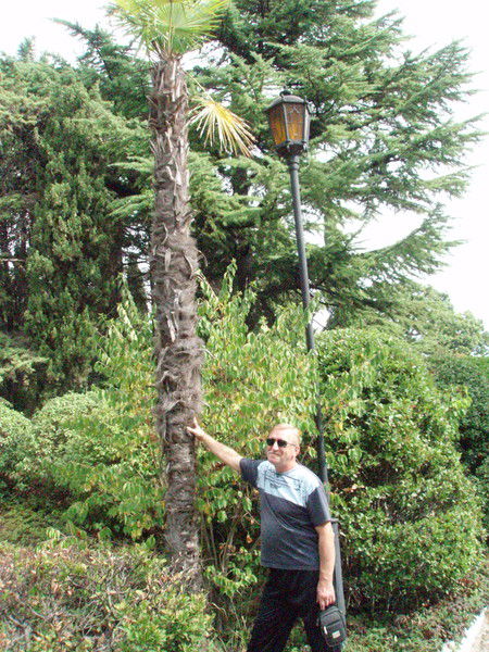 Александр Колобков