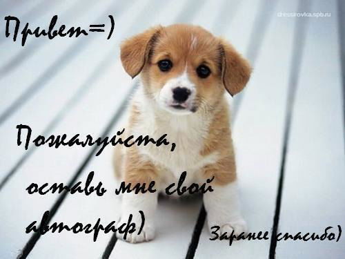 Умид Хамраев