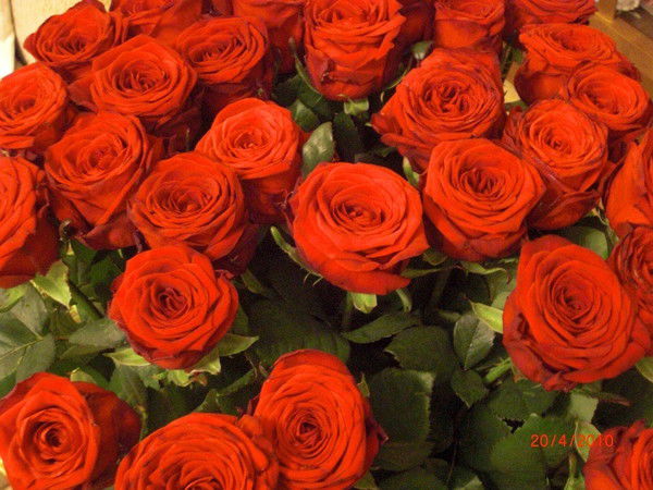 Анастасия Т