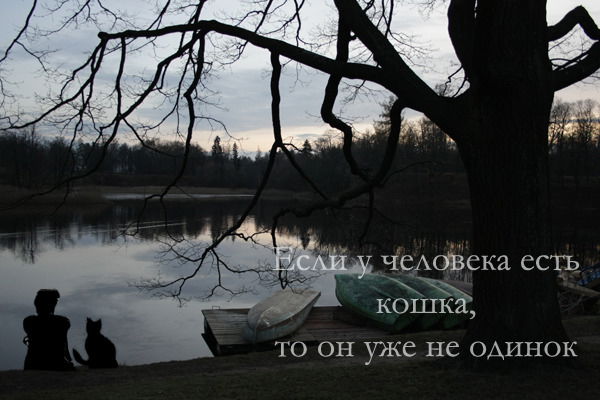Человек И Кошка