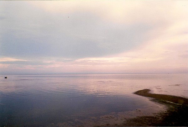 Лена Михалкова