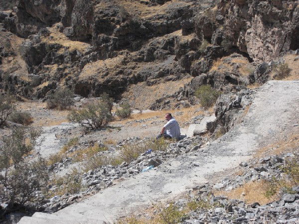 Александр Сергеев