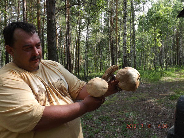 Андрей Бородихин