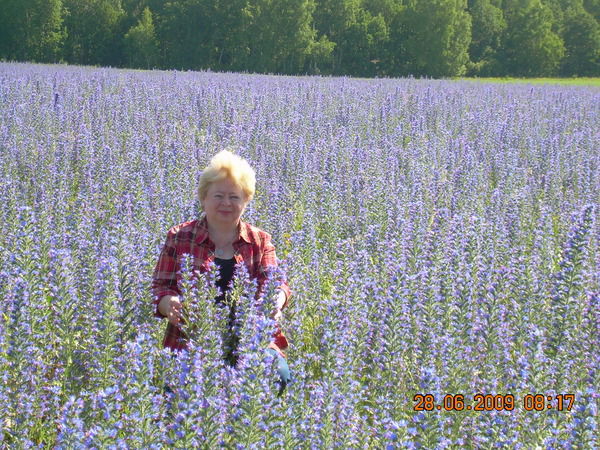 Сария Темирбаева