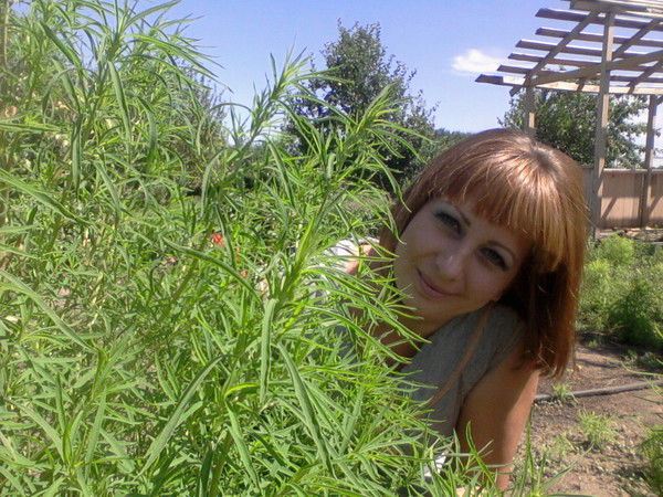 Елена Костина