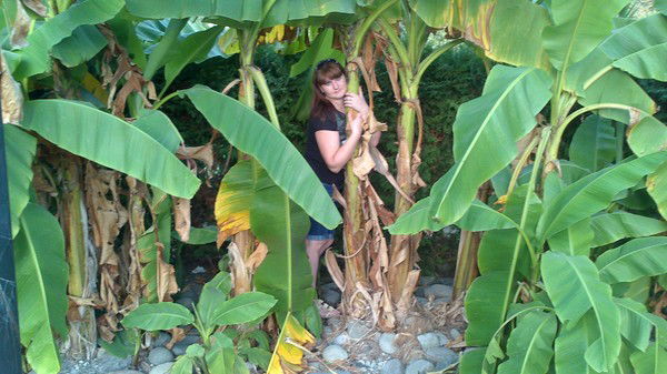 Виктория ( Москва )