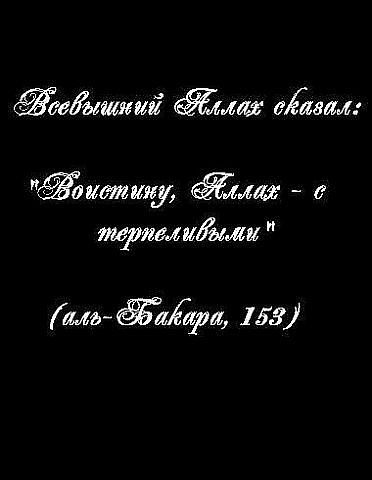 /7Росто <Kg> Боец