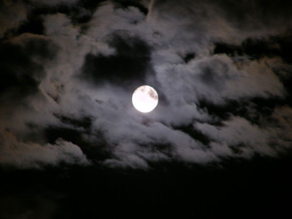 Виталий Виталий