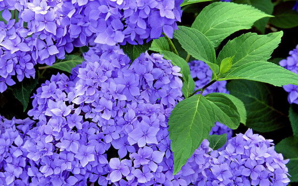 Гульсинур Багаутдинова