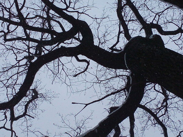 Андрей Шимолин