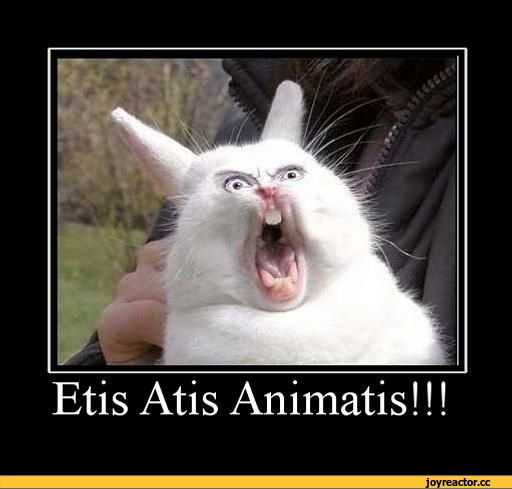 Вася Питерский