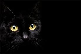 Зифа Никитина