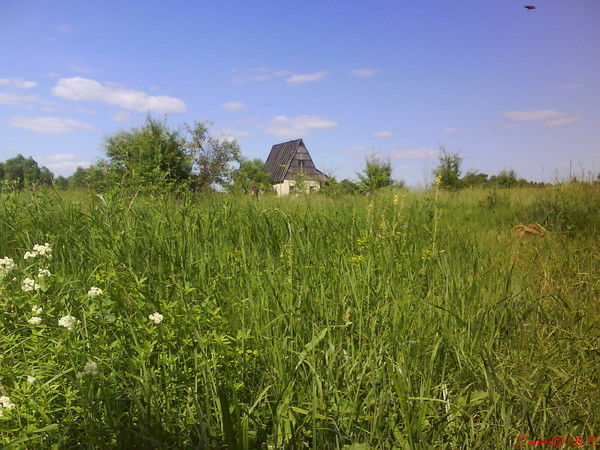 Михаил Мартынов